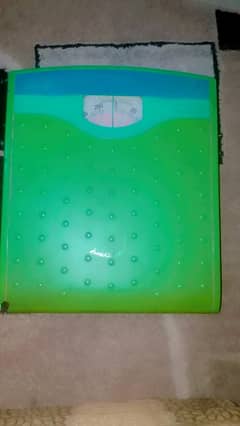 Camry 9705 Analog weight Scale