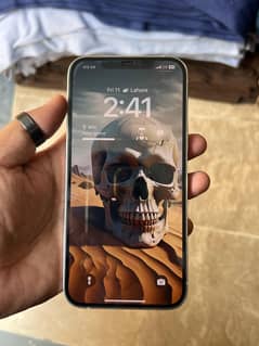 Iphone 12 pro max sim working