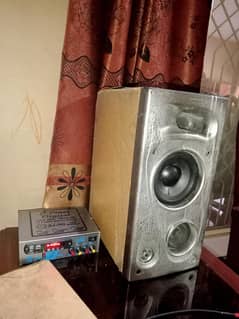 Speaker and amplifier