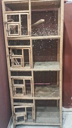 Birds Cage