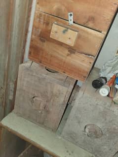lovebird breeding boxes for sale
