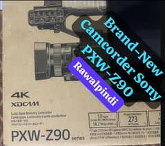 Sony 4K Camcorder Video Camera PXW-Z90