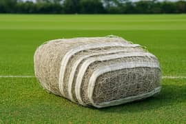 Cricketer. net