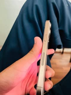 Iphone 15 pro max (256 gb)