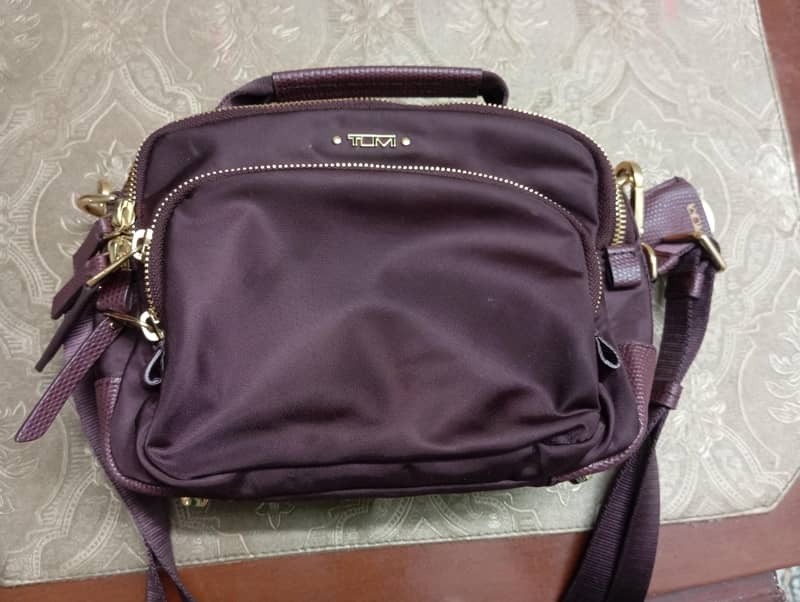 lady bag 1