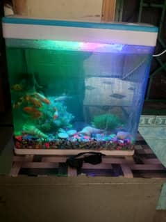 fishes