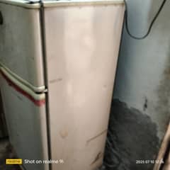 pel Fridge