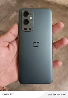 1+ 9 pro 5G  12+12/256