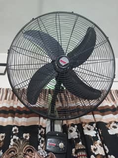 Royal fans