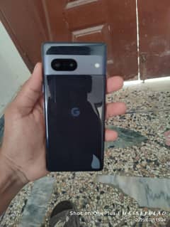 Google Pixel 7 PTA approved