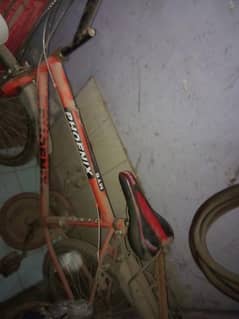 unique cycle