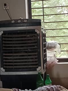 water cooler