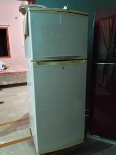 waves Refrigerator