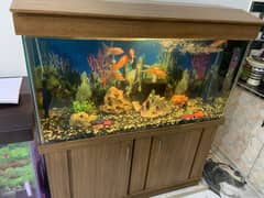 Aquarium