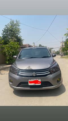 Suzuki cultus 2019