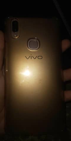 vivo
