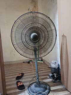 fan sale