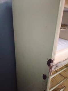 Dawlance Refrigerator