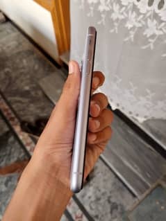 iPhone 11 64gb 10/10