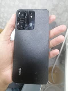 redmic13
