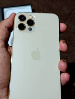 iphone 12 pro dual physical sim official PTA approved 128 GB