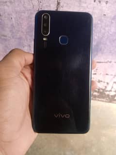vivo