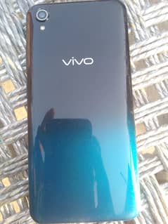 vivo