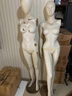 Dummy for sale