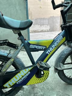 Sports thunder bicycle