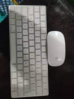 Apple Wireless Keyboard and mouse