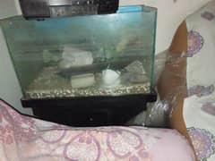 Aquarium