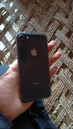 Iphone 8