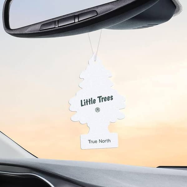 Little Trees True North Perfume Card - Original - USA Made - Car Freshener
