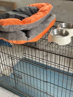(My pet hosp) Pet cage with eating bowl and sleeping mat