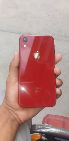 IPHONE XR (64 Gb)
