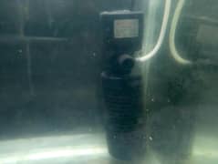 aquarium and filter 65+ fish's