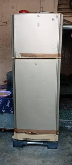 PEL