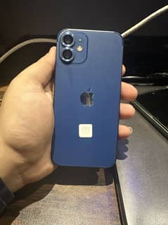 12 mini