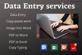 Professionally do Data Entry, Typing