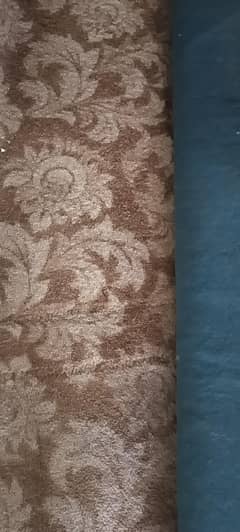 carpet