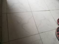 tile ya marbal