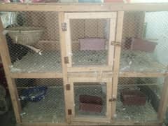 Wooden Big Size 2 portion cage for hens or pigeons