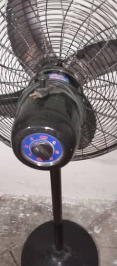 table fan for sale