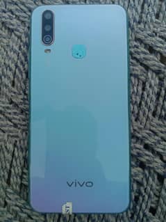 vivo