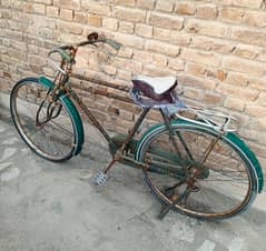 Phoenix cycle