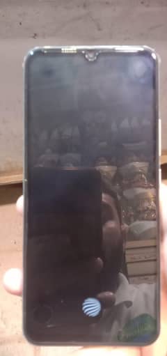 vivo