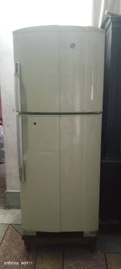 PEL
