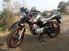 Yamaha ybr g lush condition