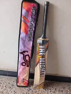 Hard ball bat with bag