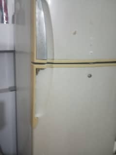 fridge ha family use tha